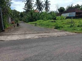  Land for sale in Kerambitan, Tabanan, Kerambitan