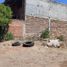  Grundstück zu verkaufen in Morelia, Michoacan, Morelia, Michoacan