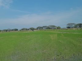  Land for sale in Samborondon, Guayas, Samborondon, Samborondon