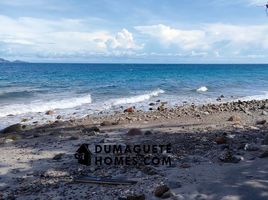  Grundstück zu verkaufen in Negros Oriental, Negros Island Region, Dauin