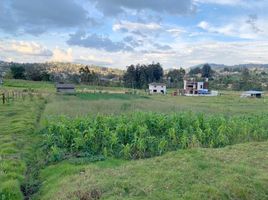  Land for sale in Valle, Cuenca, Valle