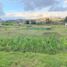  Land for sale in Valle, Cuenca, Valle