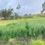  Land for sale in Valle, Cuenca, Valle