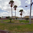 2 Schlafzimmer Haus zu verkaufen in Reynosa, Tamaulipas, Reynosa