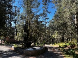  Land for sale in Mineral Del Chico, Hidalgo, Mineral Del Chico