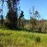  Land for sale in Valparaiso, Santo Domingo, San Antonio, Valparaiso