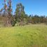  Land for sale in Valparaiso, Santo Domingo, San Antonio, Valparaiso