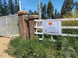  Land for sale in Valparaiso, Santo Domingo, San Antonio, Valparaiso