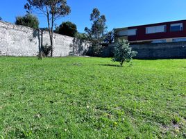  Terreno (Parcela) en venta en Cumbaya, Pichincha, Cumbaya
