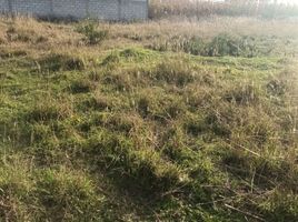  Land for sale in San Antonio, Ibarra, San Antonio