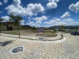  Grundstück zu verkaufen in Atlixco, Puebla, Atlixco, Puebla