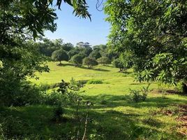  Land for sale in La Union, Ilocos, Rosario, La Union