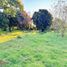  Terreno (Parcela) en venta en Bulnes, Diguillín, Bulnes