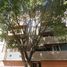 3 Habitación Apartamento en venta en Miguel Hidalgo, Ciudad de México, Miguel Hidalgo
