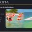  Land for sale in Progreso, Yucatan, Progreso
