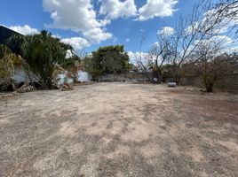  Terreno (Parcela) en alquiler en Merida, Yucatán, Merida, Yucatán