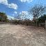  Terreno (Parcela) en alquiler en Merida, Yucatán, Merida, Yucatán