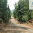  Terreno (Parcela) en venta en Araucanía, Pucón, Cautín, Araucanía