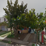 3 Habitación Villa en venta en Cozumel, Quintana Roo, Cozumel, Quintana Roo