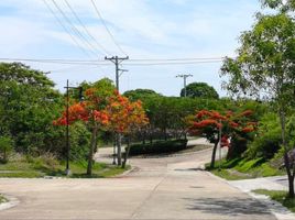  토지을(를) Calatagan, 바탕 가스에서 판매합니다., Calatagan