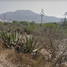 在Hidalgo出售的 土地, San Salvador, Hidalgo