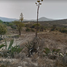在Hidalgo出售的 土地, San Salvador, Hidalgo