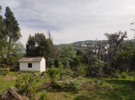  토지을(를) Ciudad de Dios, Fundación Santa Teresa de Ávila, 빌라 드 레이바에서 판매합니다., 빌라 드 레이바