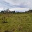  Terrain for sale in Villa De Leyva, Boyaca, Villa De Leyva