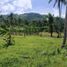 Land for sale in Cebu Central Visayas, Barili