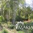  Terreno (Parcela) en venta en Chile, Villarrica, Cautín, Araucanía, Chile