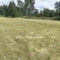  Terreno (Parcela) en venta en Chile, Villarrica, Cautín, Araucanía, Chile