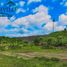  Land for sale in Cebu Central Visayas, Ronda