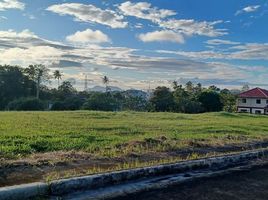  Land for sale in Cavite, Calabarzon, Alfonso, Cavite