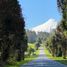 8 chambre Maison for sale in Cochamo, Llanquihue, Cochamo