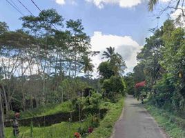  Terreno (Parcela) en venta en Bali, Tegallalang, Gianyar, Bali