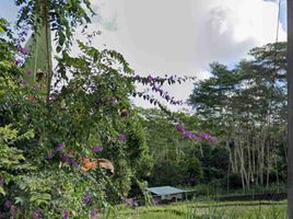  Grundstück zu verkaufen in Gianyar, Bali, Tegallalang