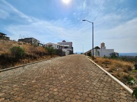  Land for sale in Patzcuaro, Michoacan, Patzcuaro