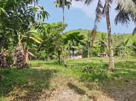  Land for sale in Liloan, Cebu, Liloan