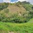  Land for sale in San Pedro De Los Milagros, Antioquia, San Pedro De Los Milagros