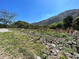  Terreno (Parcela) en venta en Loja, Vilcabamba (Victoria), Loja, Loja