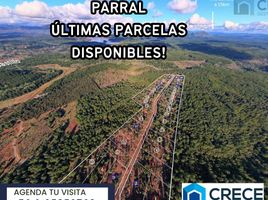  Land for sale in Chile, Parral, Linares, Maule, Chile