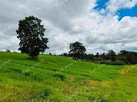  Land for sale in Chile, Los Muermos, Llanquihue, Los Lagos, Chile
