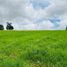  Land for sale in Chile, Los Muermos, Llanquihue, Los Lagos, Chile