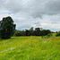  Land for sale in Chile, Los Muermos, Llanquihue, Los Lagos, Chile
