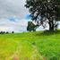  Land for sale in Chile, Los Muermos, Llanquihue, Los Lagos, Chile