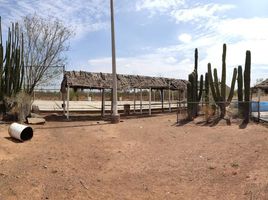  Grundstück zu verkaufen in Hermosillo, Sonora, Hermosillo, Sonora