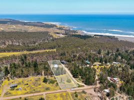 4 Habitación Casa en venta en Cardenal Caro, Libertador General Bernardo O'Higgins, Pichilemu, Cardenal Caro