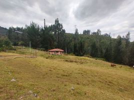 2 Habitación Casa en venta en Colombia, Tibasosa, Boyaca, Colombia