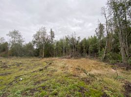  Terreno (Parcela) en venta en Chile, Villarrica, Cautín, Araucanía, Chile