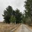  Terreno (Parcela) en venta en Chile, Villarrica, Cautín, Araucanía, Chile